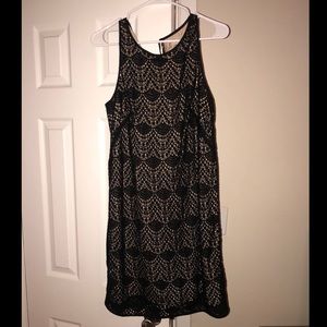 LOFT Lace Shift Dress